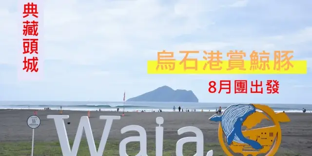 【典藏頭城】烏石港夏日 賞鯨趣 8月團