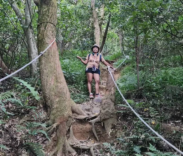 HIKING WUJIUTONG MT TAOYUAN (EASY TO DIFFICULT) NATURE WILDERNESS TRAIL